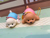 Chubby Poodle Dog Small Figure Vol.1 5 Pieces Set (In-stock)