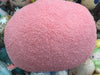 Hoshi no Kirby Inhale Furry Large Plush (In-stock)