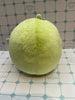 Sumikko Gurashi Penguin? with Watermelon Small Plush Keychain (In-stock)