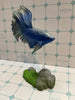 Siamese Fighting Fish Small Figure 6 Pieces Set (In-stock)