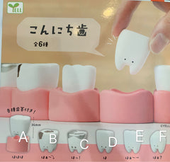 Dental Teeth Figure 6 Pieces Set (In-stock)