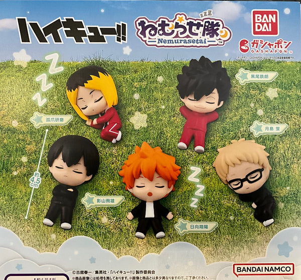 Nemurasetai Haikyuu Character 5 Pieces Set (In-stock)