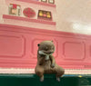 Animal Otters Resting Small Figure 5 Pieces Set (In-stock)