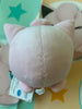 Pokemon Jiggly Puff Angry Small Plush (In-stock)