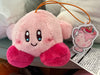 Hoshi no Kirby x Dr.MORICKY Happy Days Kirby Small Plush Keychain Type A (In-stock)