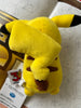 Pokemon 30th Anniversary Pikachu Worry Small Plush (In-stock)