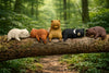 Baby Kuma Bear Sleeping Small Figure 5 Pieces Set (In-stock)
