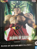 Banpresto Dragon Ball Z Blood of Saiyans Super Saiyan Broly Prize Figure (In-stock)