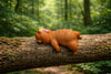Baby Kuma Bear Sleeping Small Figure 5 Pieces Set (In-stock)