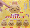 Chiikawa and Friends Usagi Head Squishy Keychain 5 Pieces Set (In-stock)