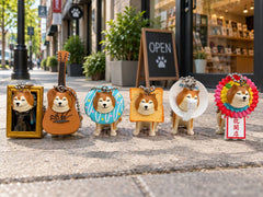Shiba Inu Got Stuck Figure Keychain 6 Pieces Set (In-stock)