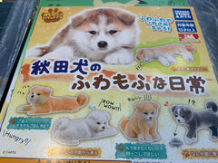 Akita Inu Daily Life Furry Texture Figure Keychain 5 Pieces Set (In-stock)