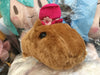 Kapibara-San With Pink Hat Small Plush (In-stock)