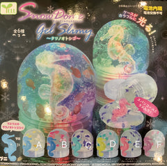 Sea Horse Snow Dome Gel Shiny Slime 6 Pieces Set (In-stock)