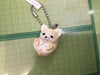 Manmaru Animal Shiba Inu Dog Figure Keychain 6 Pieces Set (In-stock)