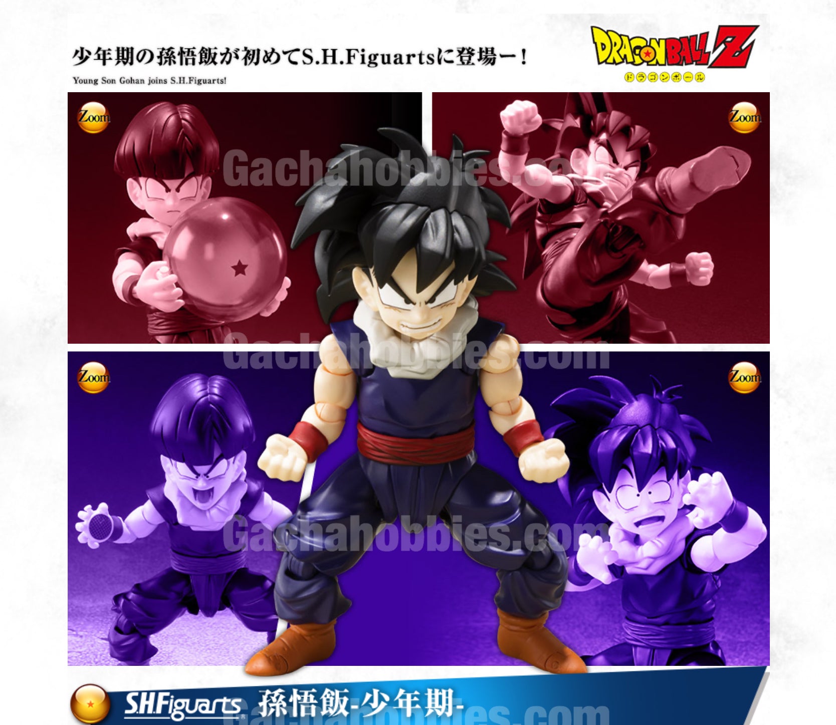 S.H.Figuarts SON GOHAN -KID- Limited (In-stock) – Gacha Hobbies