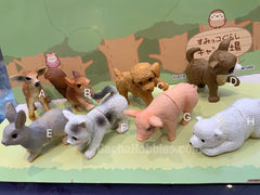 Animal Magnet Set (In Stock)