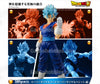 S.H.Figuarts Super Saiyan God Super Saiyan Vegito Super Limited (Pre-order)