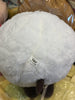 Pokemon Wooloo Medium Plush (In-stock)