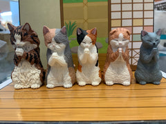 Animal Cat Gassho Figure 5 Piece Set (In-stock)