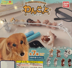 Wancot Dog Cable Holder 7 Pieces Set (In-stock)