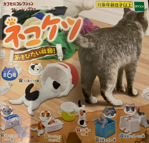 Cat with Boxes and Bags Figure 5 Pieces Set (In-stock)