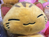 Sleepy Cat Head Tiger Stripe Cat Medium Plush (In-stock)