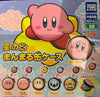 Hoshi no Kirby Double Sided Tint Case 6 Pieces Set (In-stock)