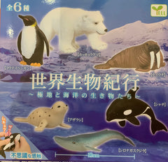 World Ocean Animal Squishy 6 Pieces Set (In-stock)