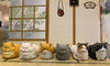 Sleepy Cat Container 6 Pieces Set (In-stock)