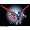 RG 1/144 Gundam Seed Destiny Gundam Titanium Finish Limited (Pre-order)