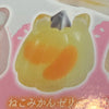 Pudding Mochi Squishy (In Stock)