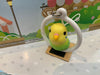 Parrot in Cage Figure Keychain 6 Pieces Set (In-stock)