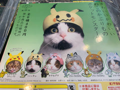 Kitan Club Pokemon Cat Hat 6 Pieces Set (In-stock)