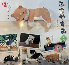 Shiba Inu Dog 5 Pieces Figure Set (In Stock)