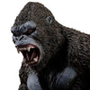 Monster Verses KONG SKULL ISLAND Limited (Pre-order)