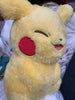 Pokemon Life with Pikachu Medium Long Fur Plush Type A (In-stock)