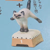 Cat with Vault Collection Figure 6 Pieces Set (In Stock)