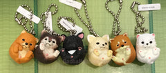 Manmaru Animal Shiba Inu Dog Figure Keychain 6 Pieces Set (In-stock)