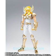 Saint Seiya Myth EX Cygnus Hyoga New Bronze Cloth Golden Limited Edition Limited (Pre-order)