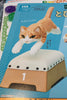 Cat with Vault Collection Figure 6 Pieces Set (In Stock)