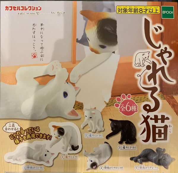 Home Cat Day Dreaming Figure 6 Pieces Set (In-stock)