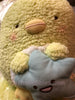 Good Night Sumikko Gurashi Starry Sky Penguin Medium Plush (In-stock)