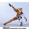 S.H.Figuarts Kamen Rider Valkyrie Rushing Cheetah Action Figure Limited (In-stock)