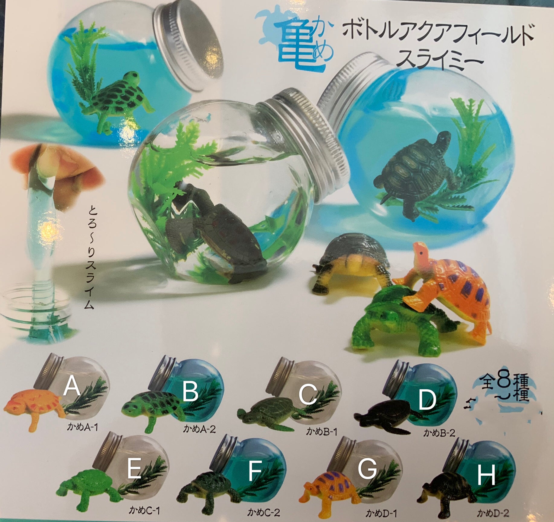 Turtle Fish Bowl Slime 8 Pieces Set (In-stock) – Gacha Hobbies