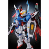 RG 1/144 Gundam Seed Destiny Gundam Titanium Finish Limited (Pre-order)