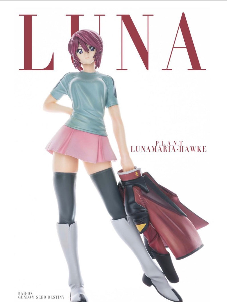 RAH DX Gundam Seed Destiny Lunamaria Hawke Ver.2 Figure (In-stock