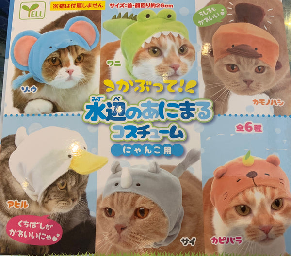 Animal Hats For Cats 6 Piece Set (In Stock)