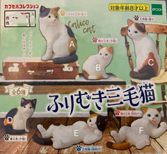 Calico Cat Mini Figure 6 Pieces Set (In-stock)