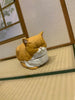 Sleepy Cat Container 6 Pieces Set (In-stock)